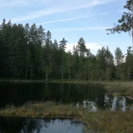 Presterudveien 125 * Vikersund