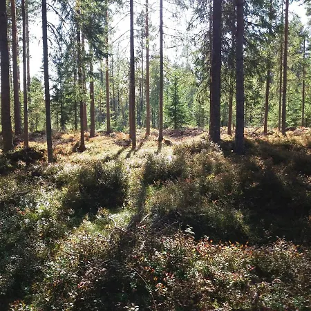 Presterudveien 125 Holiday home Vikersund