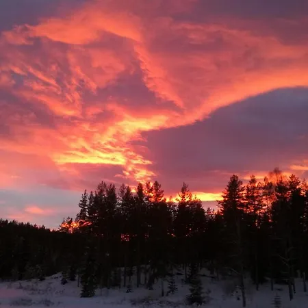 Casa vacanze Presterudveien 125 Vikersund