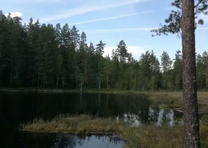 Presterudveien 125 * Vikersund