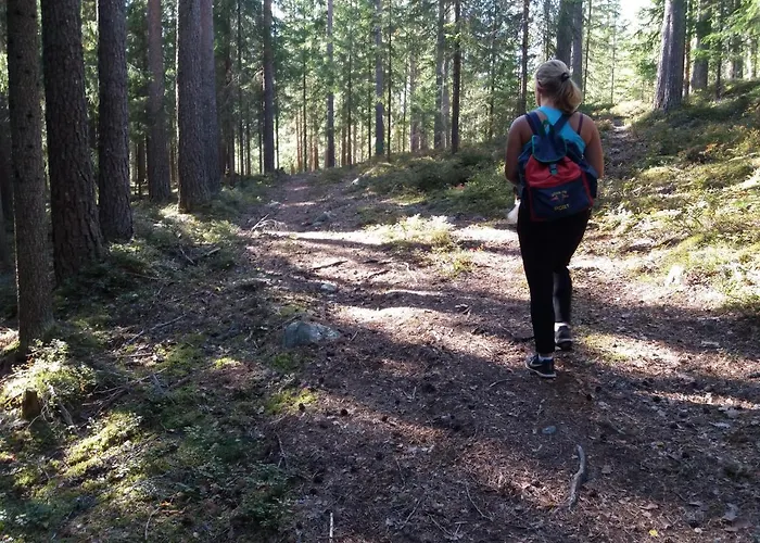 Vakantiehuis Presterudveien 125 Vikersund