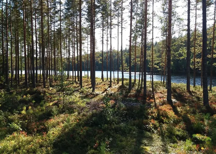 Vakantiehuis Presterudveien 125