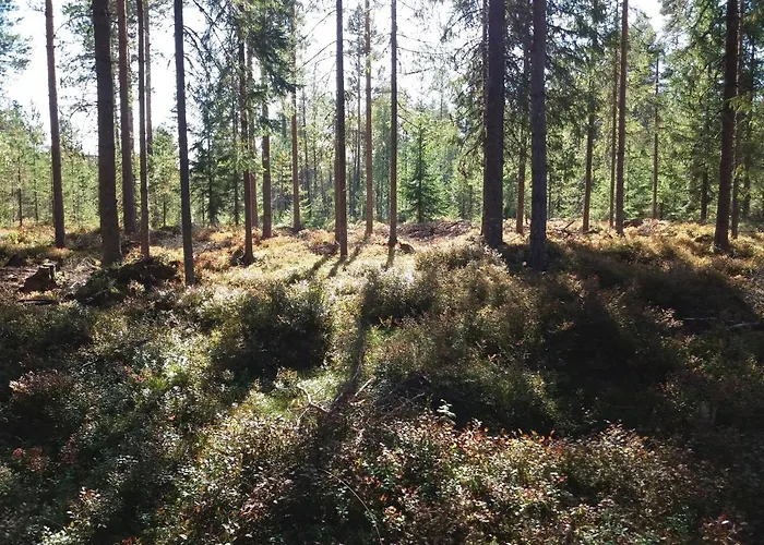 Presterudveien 125 Vakantiehuis Vikersund