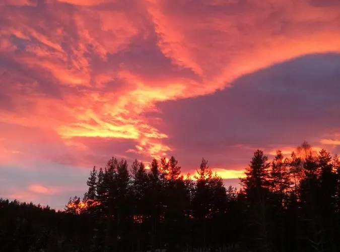 Vakantiehuis Presterudveien 125 Vikersund