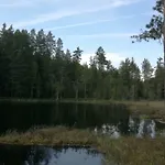 Presterudveien 125 * Vikersund
