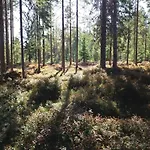 Presterudveien 125 Prázdninový dům Vikersund